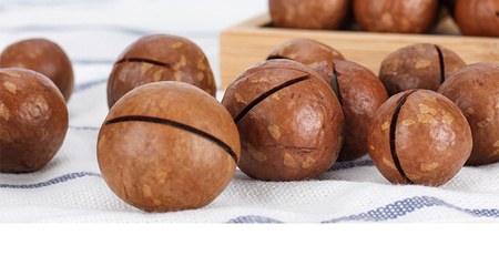 森林老爹堅(jiān)果代工廠 一站式堅(jiān)果貼牌代工，賦能品牌成長